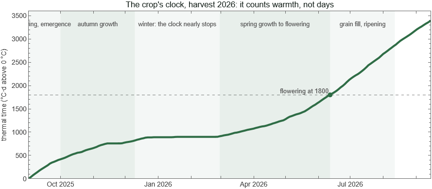 Thermal time through harvest 2026 with the growth stages marked