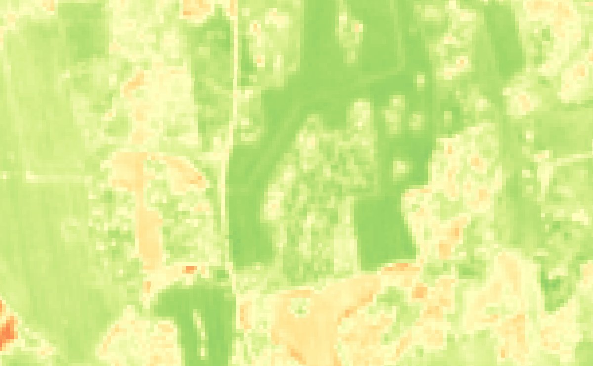 The same scene as greenness (NDVI)