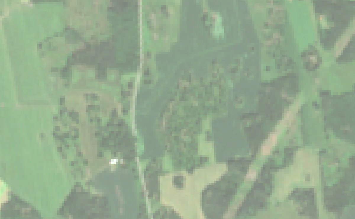 Sentinel-2 true-colour image of the field and its neighbours, 4 July 2026